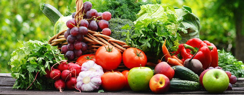 Frisches Obst und Gemüse – direkt vom Erzeuger zum Verbraucher